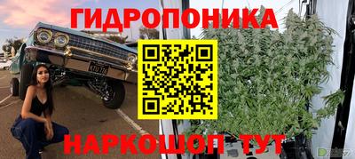 гидропоника Гусев