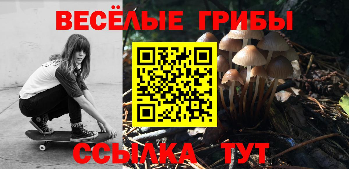Менделеевск  Псилоцибиновые грибы мухоморы  Вход с VPN  Псилоцибиновые грибы мицелий 