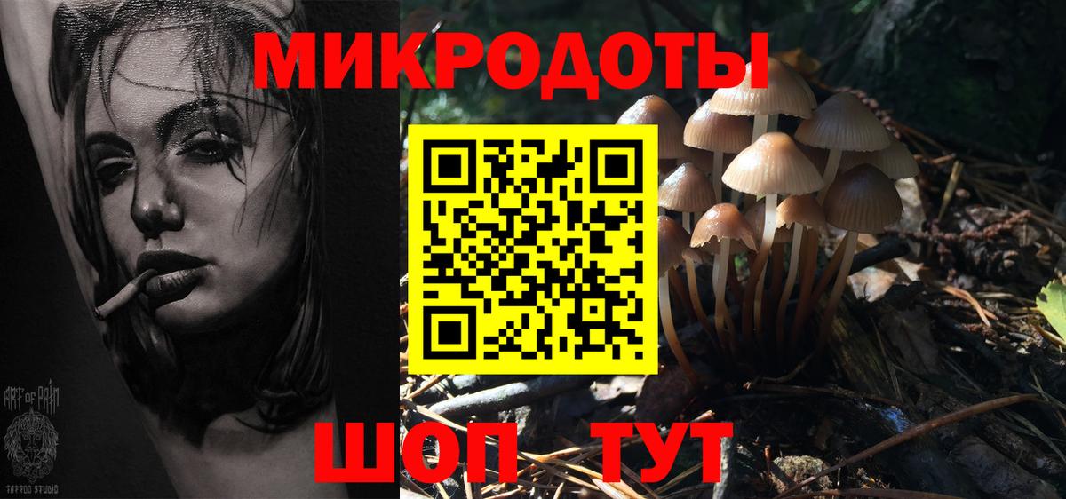 Псилоцибиновые грибы Cubensis Менделеевск